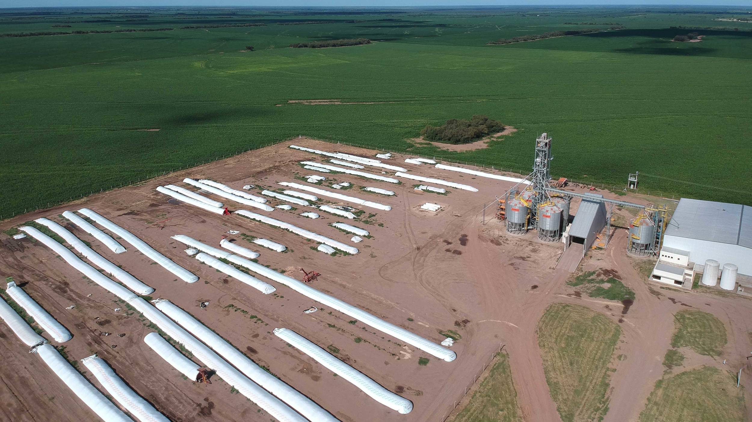 Cono Agriculture utiliza varias instalaciones de producción para el cultivo de garbanzos y porotos, entre muchos otros.