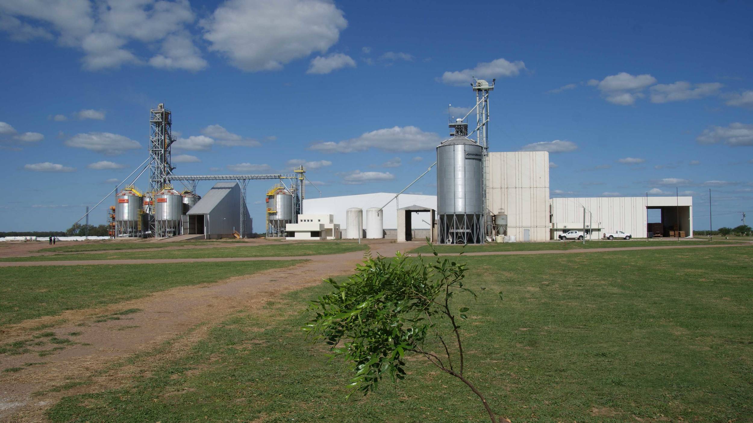 Tras el procesamiento, los productos de Cono Agriculture se exportan a 50 países en todo el mundo.