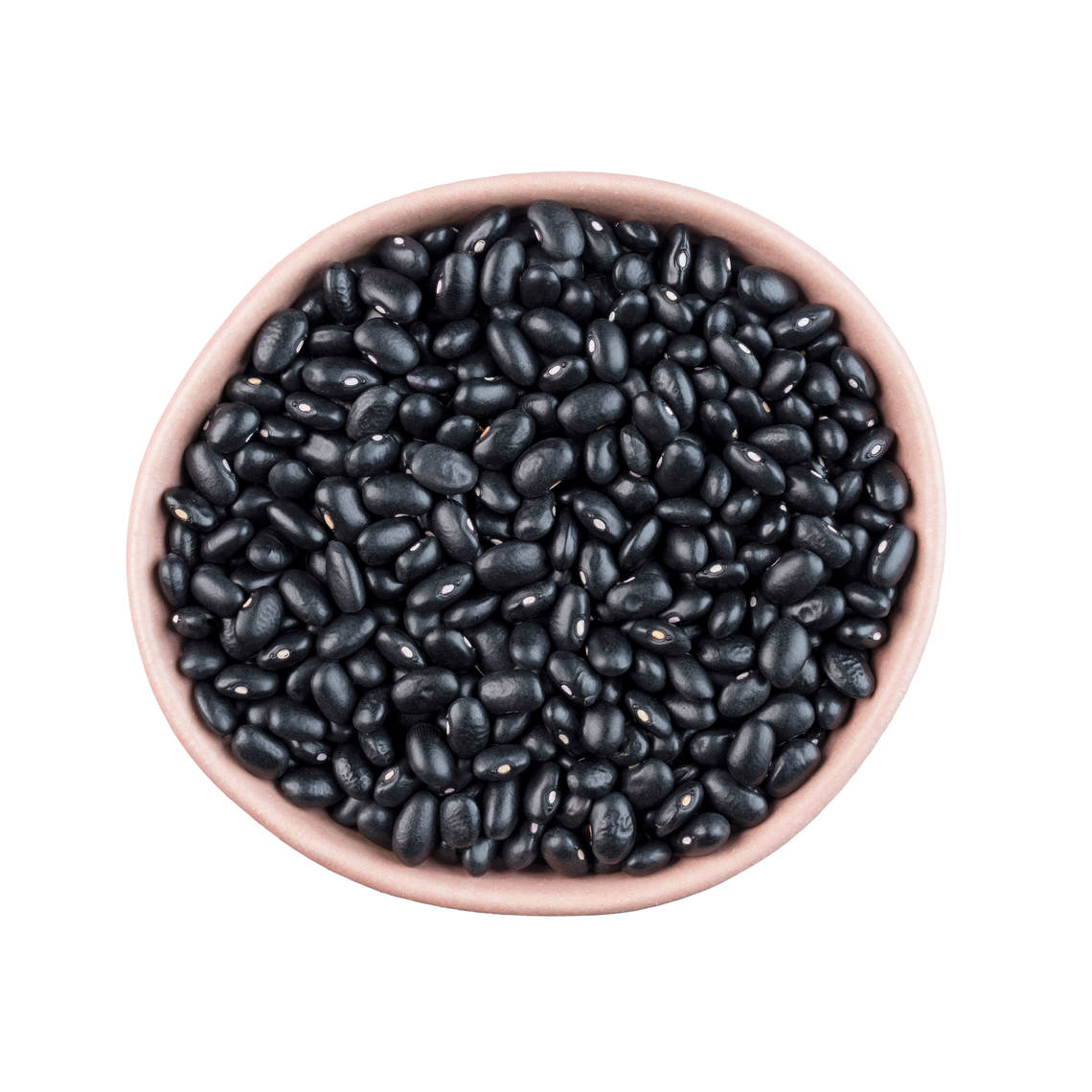 Los porotos negros son una de las legumbres más versátiles, los consumen tanto carnívoros como vegetarianos.