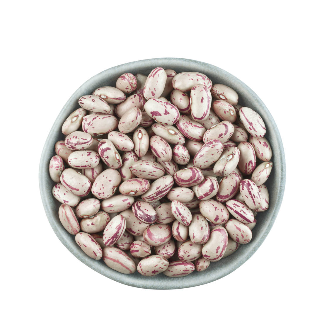 Los porotos pintos o cranberry deben su nombre a las hermosas marcas de color arándano en la capa exterior de su piel que desaparecen al cocinarlos. 