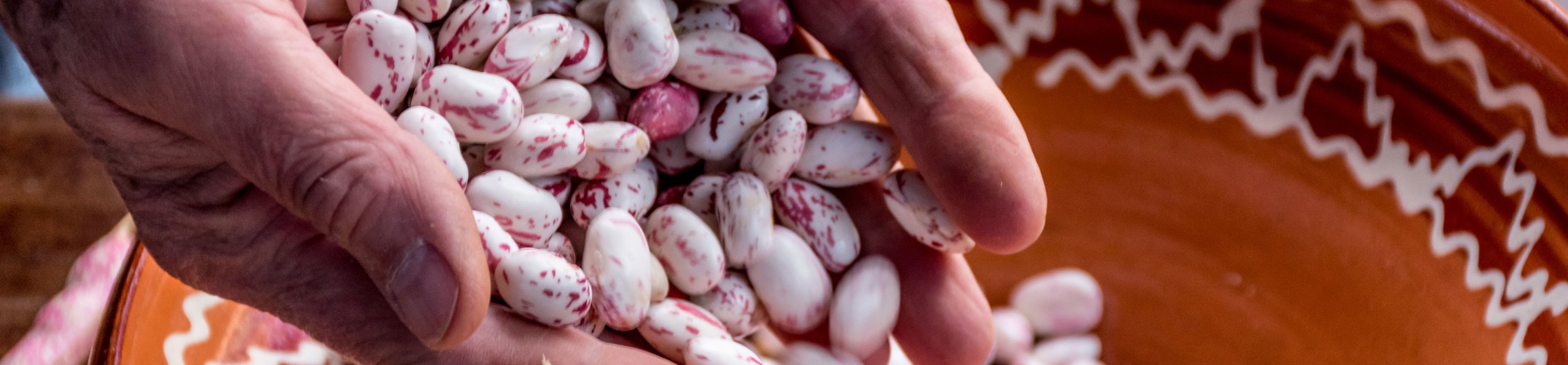 Los porotos pintos son originarios de Colombia y se han vuelto populares especialmente en Italia, donde a menudo se conocen como porotos borlotti.