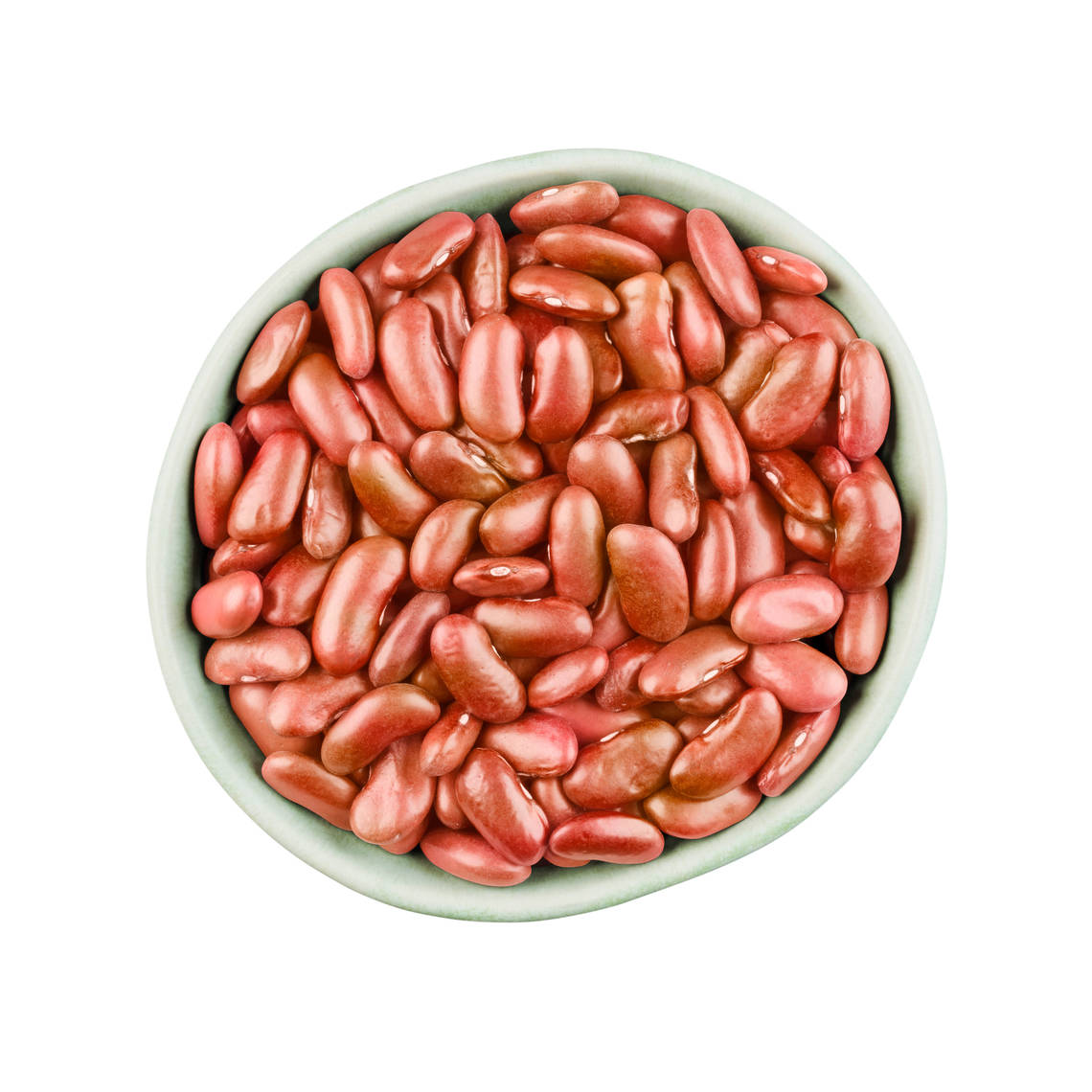 Los porotos arriñonados rojo claro son porotos grandes con una forma de riñón distintiva y una piel brillante de color rosado rojizo.