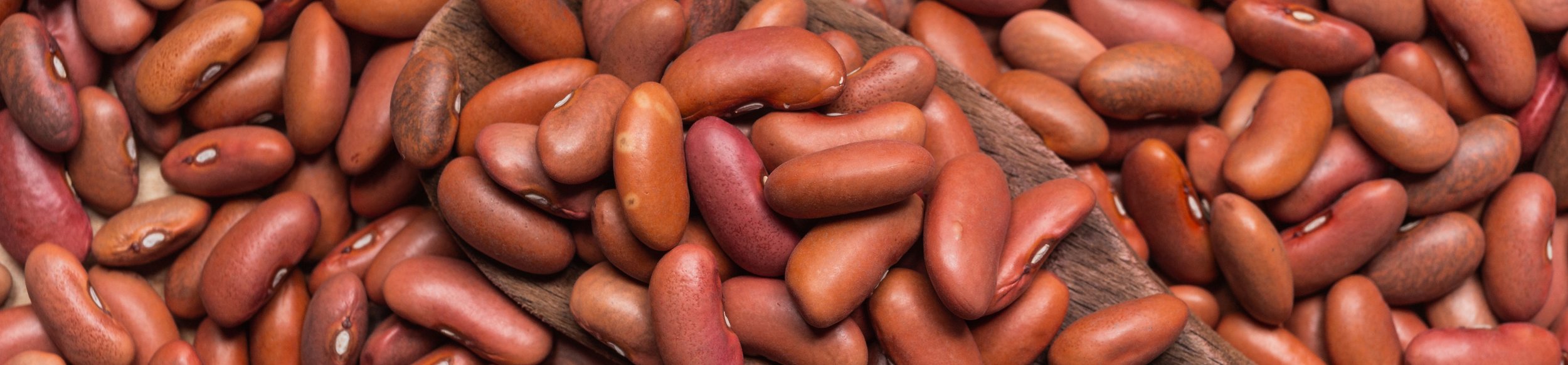 Light red kidney beans are perfect for soups, stews and other dishes that cook for longer periods.