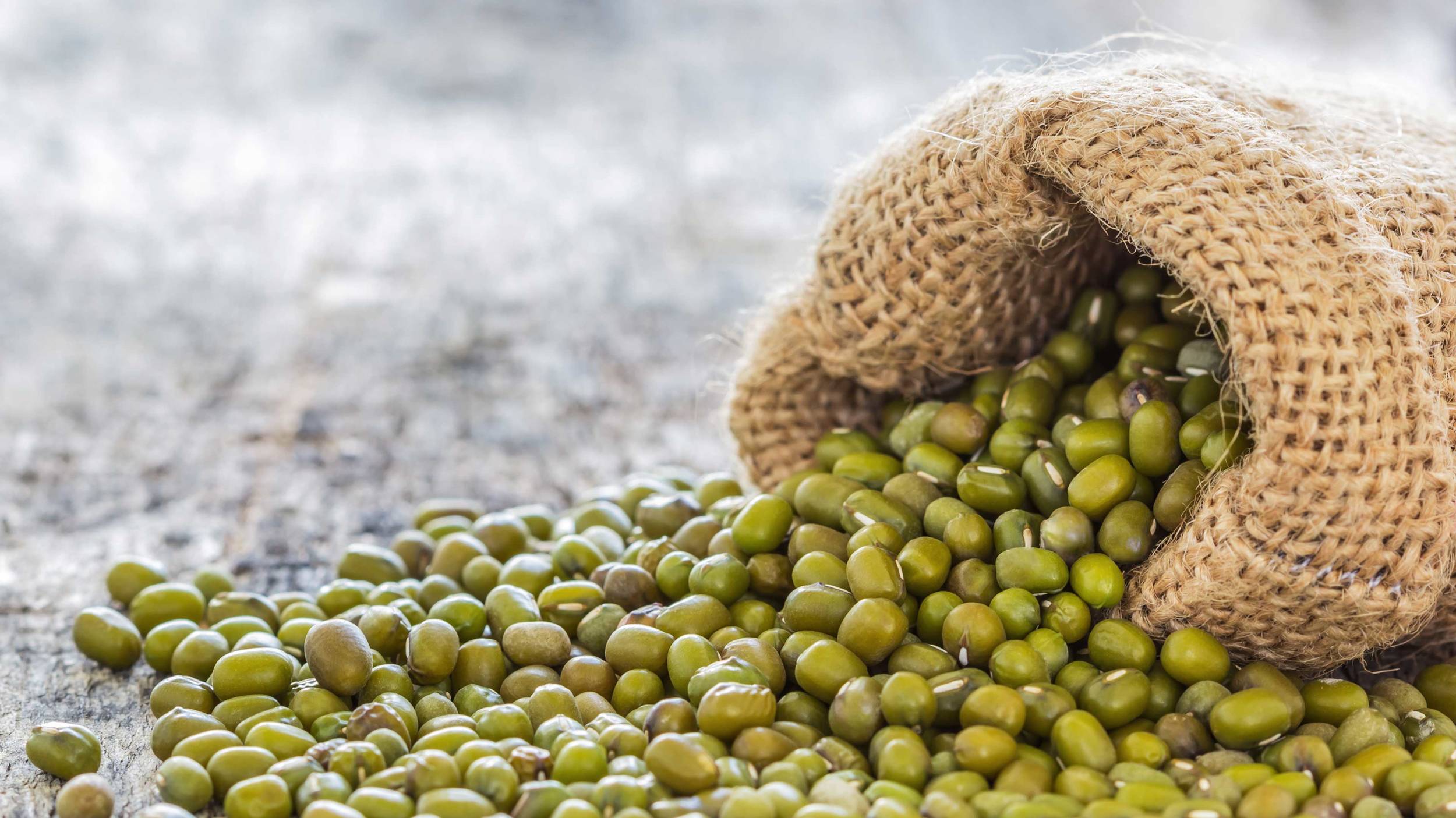 Harvested at their peak, Cono‘s mung beans are carefully processed and packaged to preserve maximum goodness, ready to be delivered to countries worldwide.