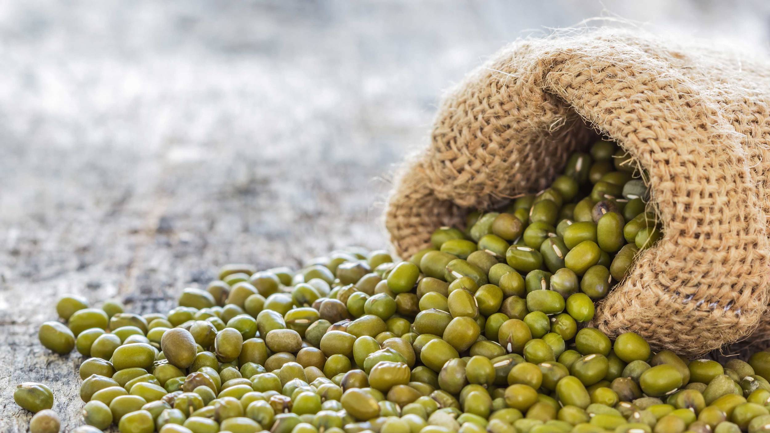 Processing mung beans Harvested at their peak, Cono‘s mung beans are carefully processed and packaged to preserve maximum goodness, ready to be delivered to countries worldwide.