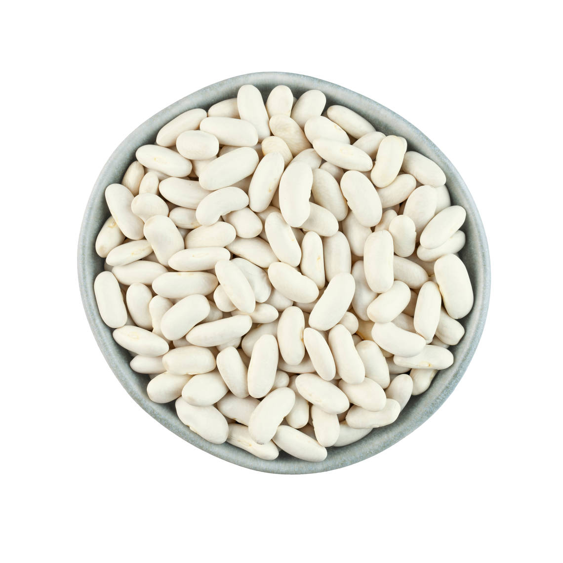 Cannellini beans or alubia blanca in Spanish, are white, large kidney shaped beans with a slightly nutty, mild flavour and soft texture. 