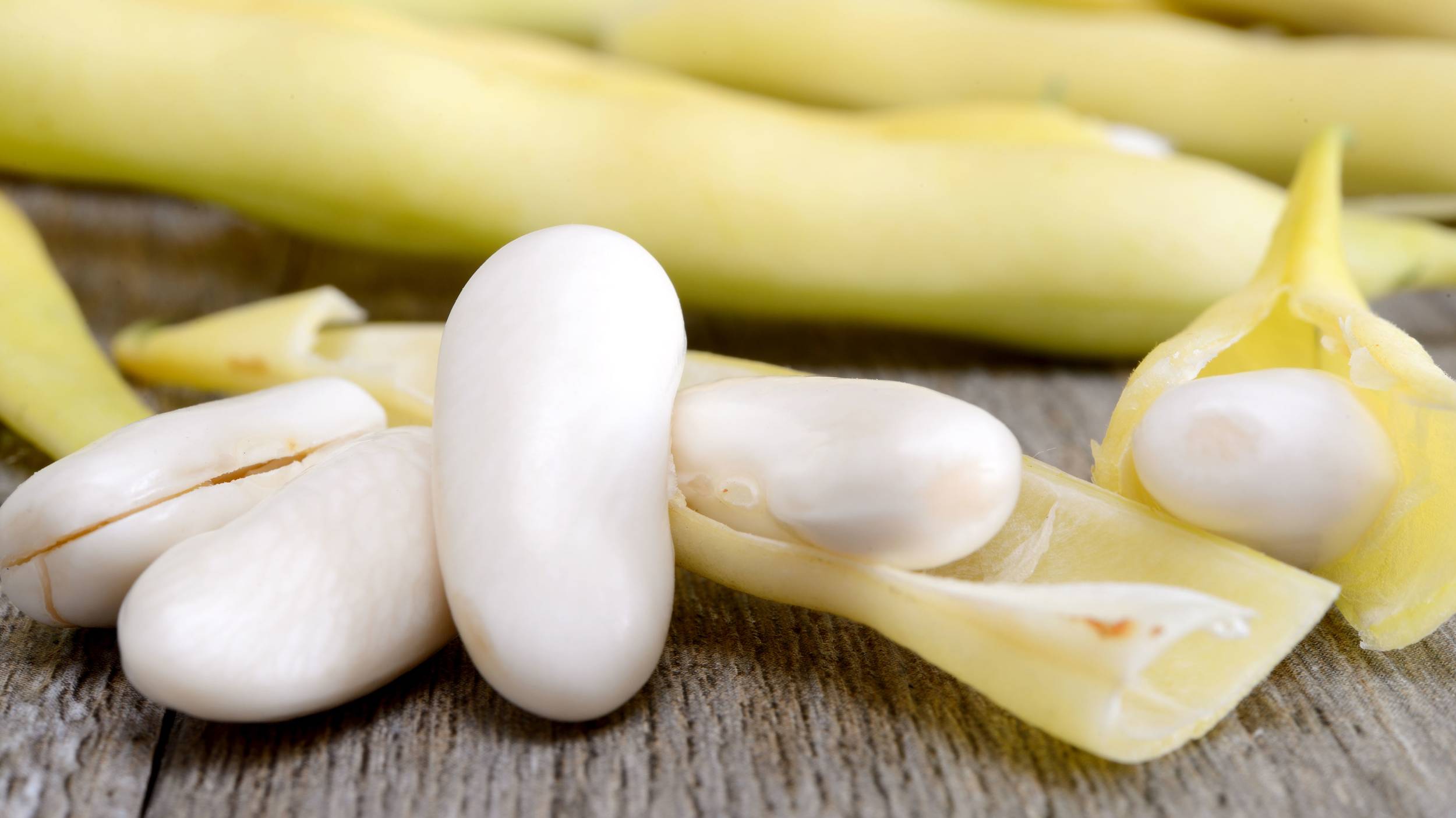 White kidney beans in the pod Cono’s white kidney beans are grown in Cordoba as well as in the north of Argentina where conditions are ideal.