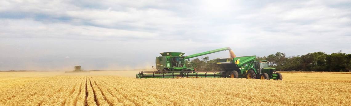 Harvesting commodities When growing, harvesting and processing commodities, Cono relies on modern technology.