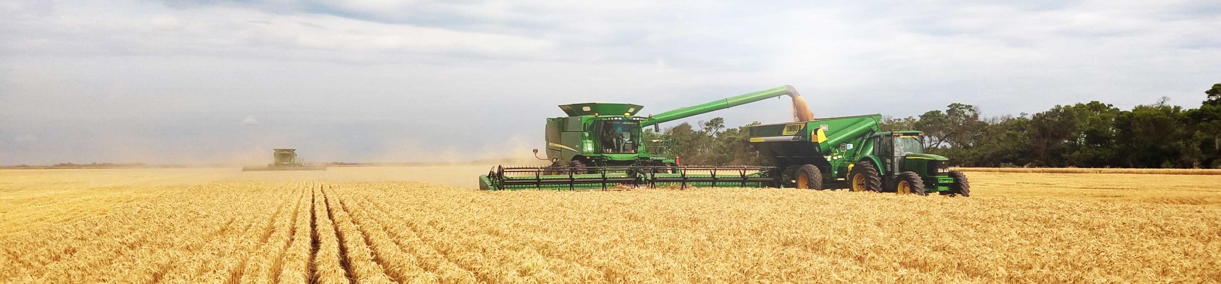 When growing, harvesting and processing commodities, Cono relies on modern technology.