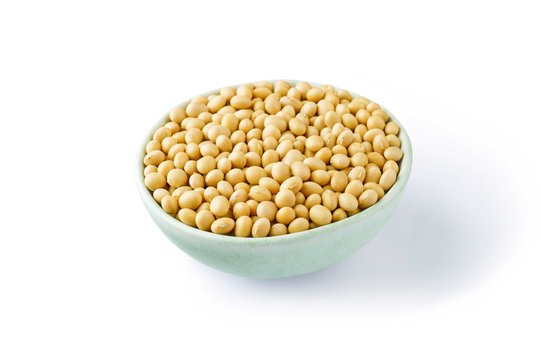 Las semillas de soja, cultivadas ampliamente y de importancia global, son ricas en aceite y proteína.