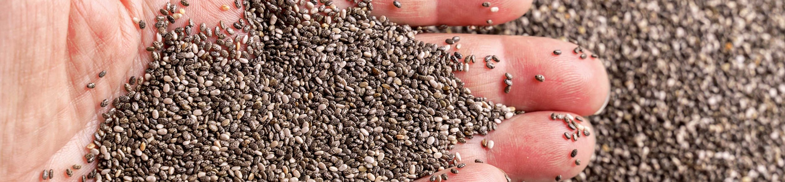 Con un sabor neutro y un ligero dejo a nuez, de fácil almacenamiento y extenso periodo de conservación, las semillas de chía también son extremadamente versátiles.
