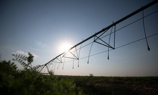 La agricultura climáticamente inteligente ayuda a proteger el medioambiente.