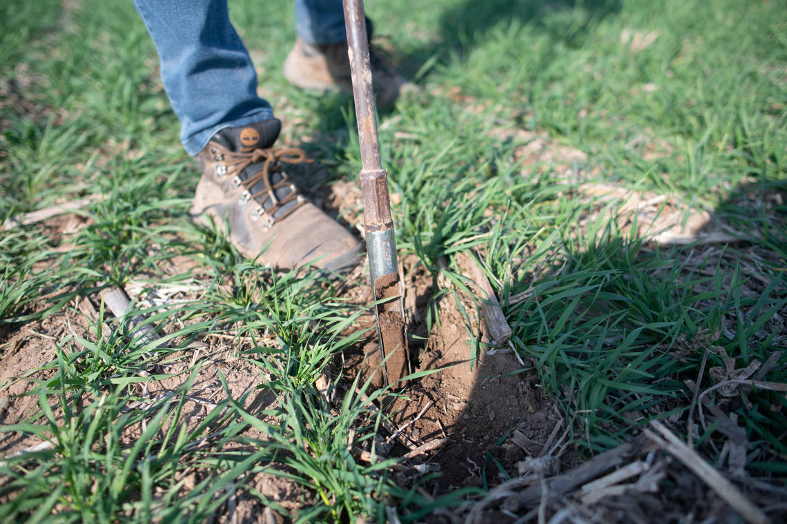 Cono has a number of climate-smart agriculture projects in place that help reduce the carbon footprint.