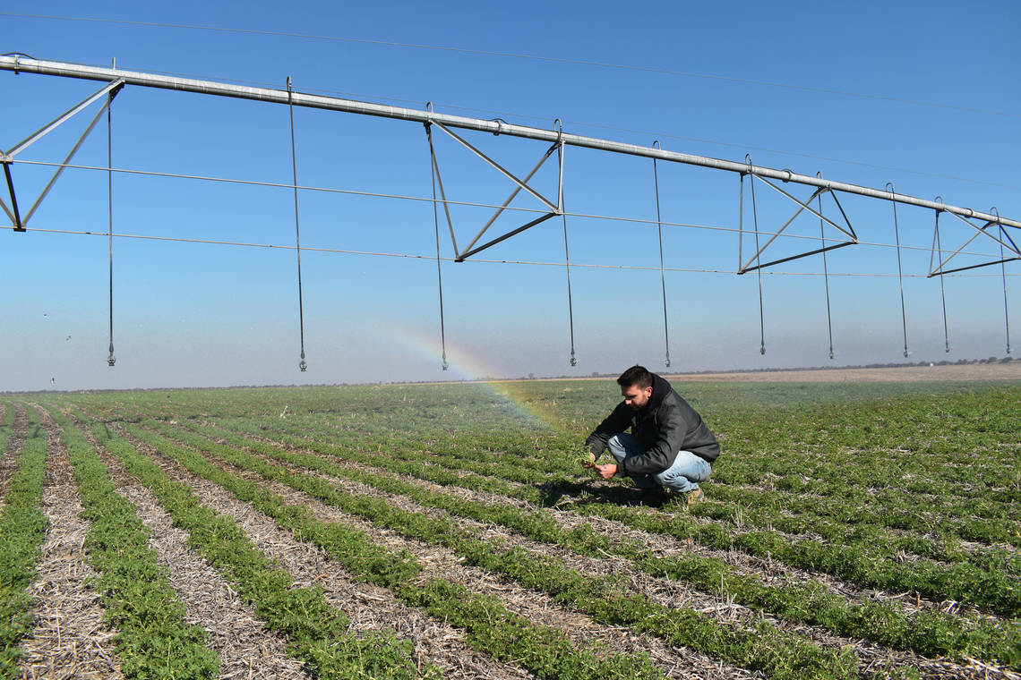 The quantity and quality of the water stored in Cono's soils is very important for sustainable agriculture.