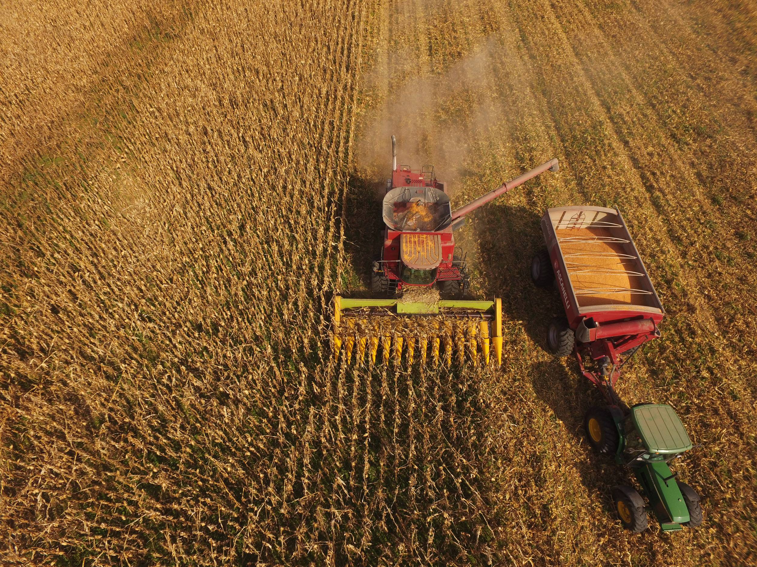Sustainable farming Cono takes the environment into account when growing food.