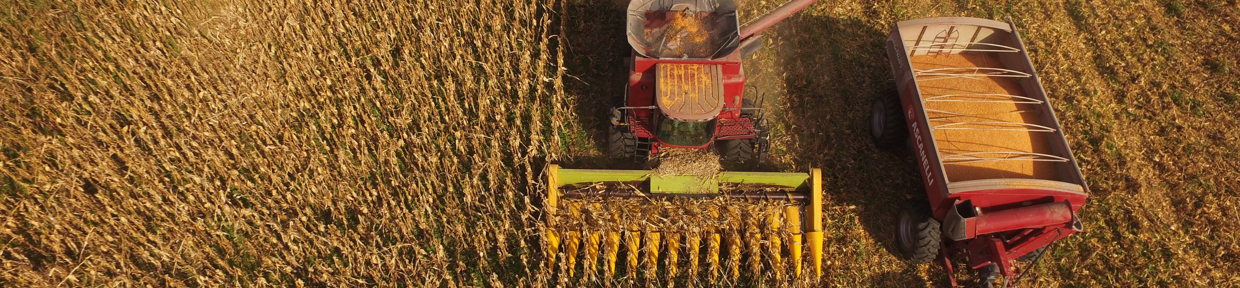 Cono tiene muy presente el medioambiente a la hora de cultivar alimentos.